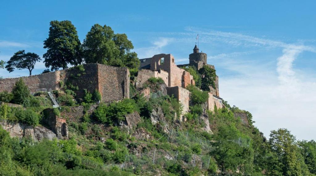 Luxurioese Ferienwohnung Mit Wellness Oase Saarburg Bagian luar foto